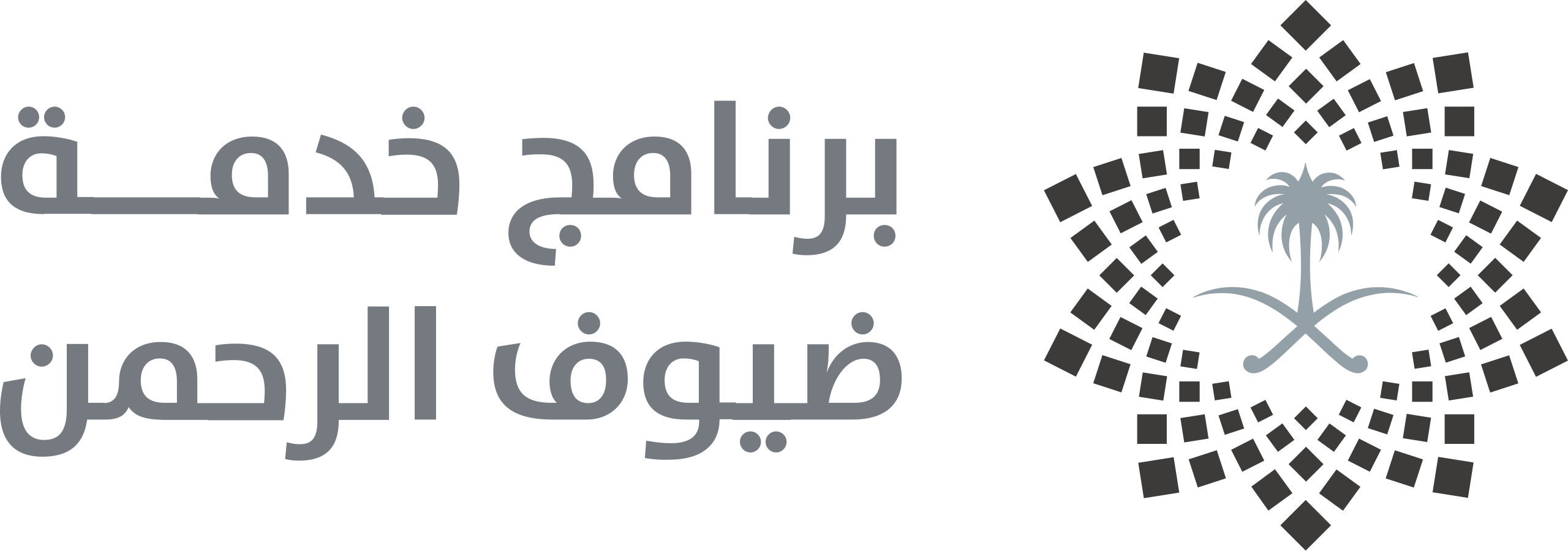 برنامج خدمة ضيوف الرحمن 